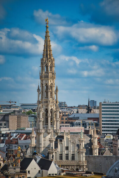 Brussels town Hall with Belfry
