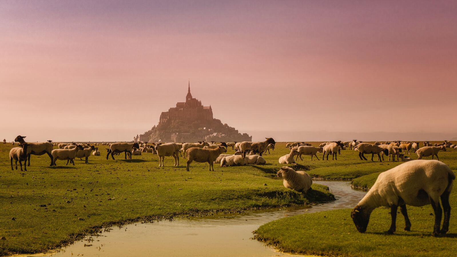 Image of Mont Saint-Michel leading lines by Team PhotoHound