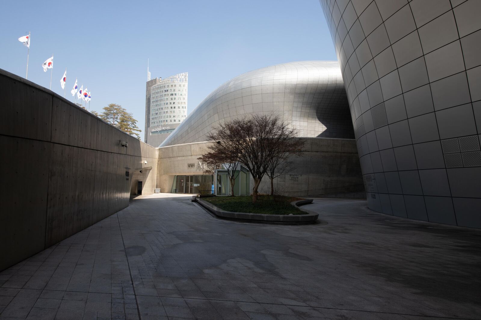 Image of Dongdaemun Design Plaza 동대문디자인플라자 by Team PhotoHound