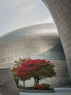 pictures of South Korea - Dongdaemun Design Plaza 동대문디자인플라자
