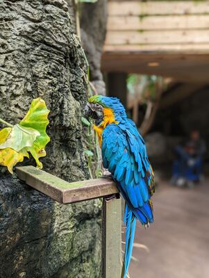 Image of Central Park Zoo - Central Park Zoo