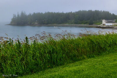 Union Cove, Campobello Island, NB. Looking north from Mulholland Point.