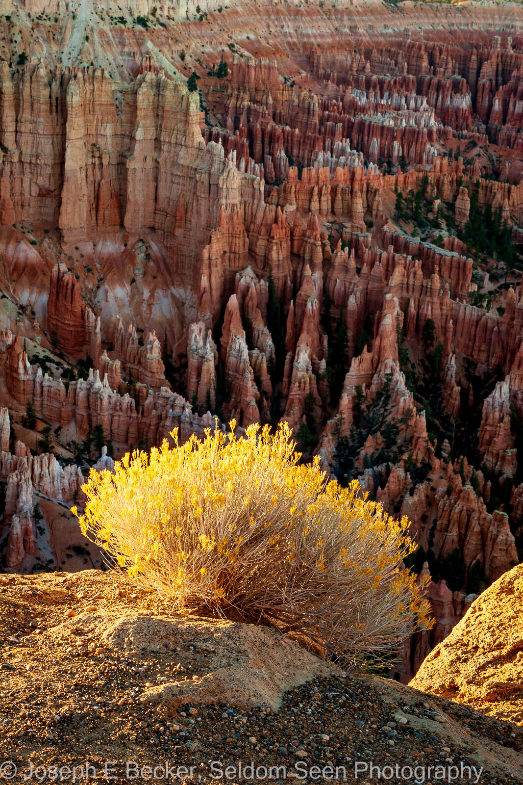 Image of Bryce Point - Bryce Canyon NP by Joe Becker