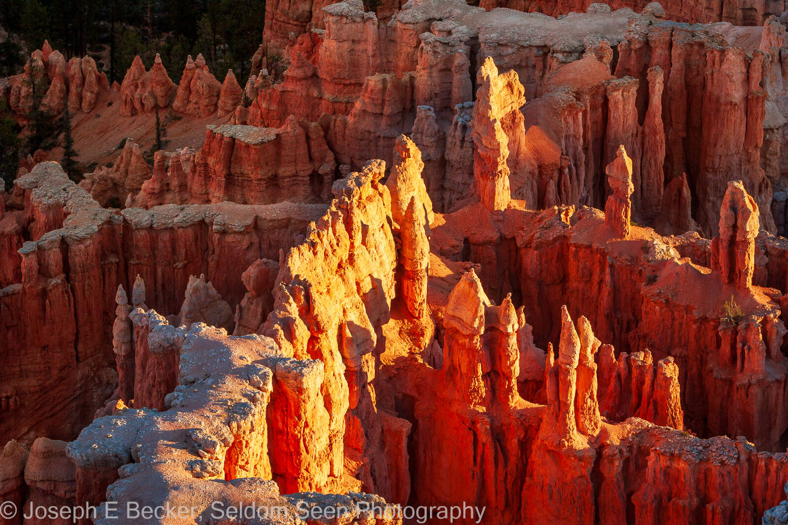 Image of Bryce Point - Bryce Canyon NP by Joe Becker