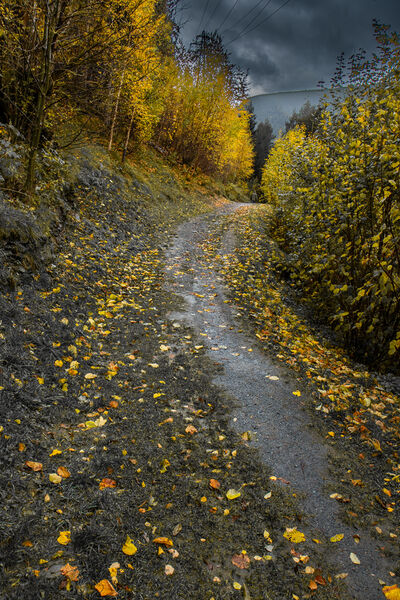 The trail in the rain in autumn!