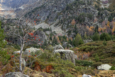 Andorra images - Val D'Incles to Estany Primer de Juclar Hike