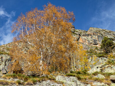 images of Andorra - Val D'Incles to Estany Primer de Juclar Hike