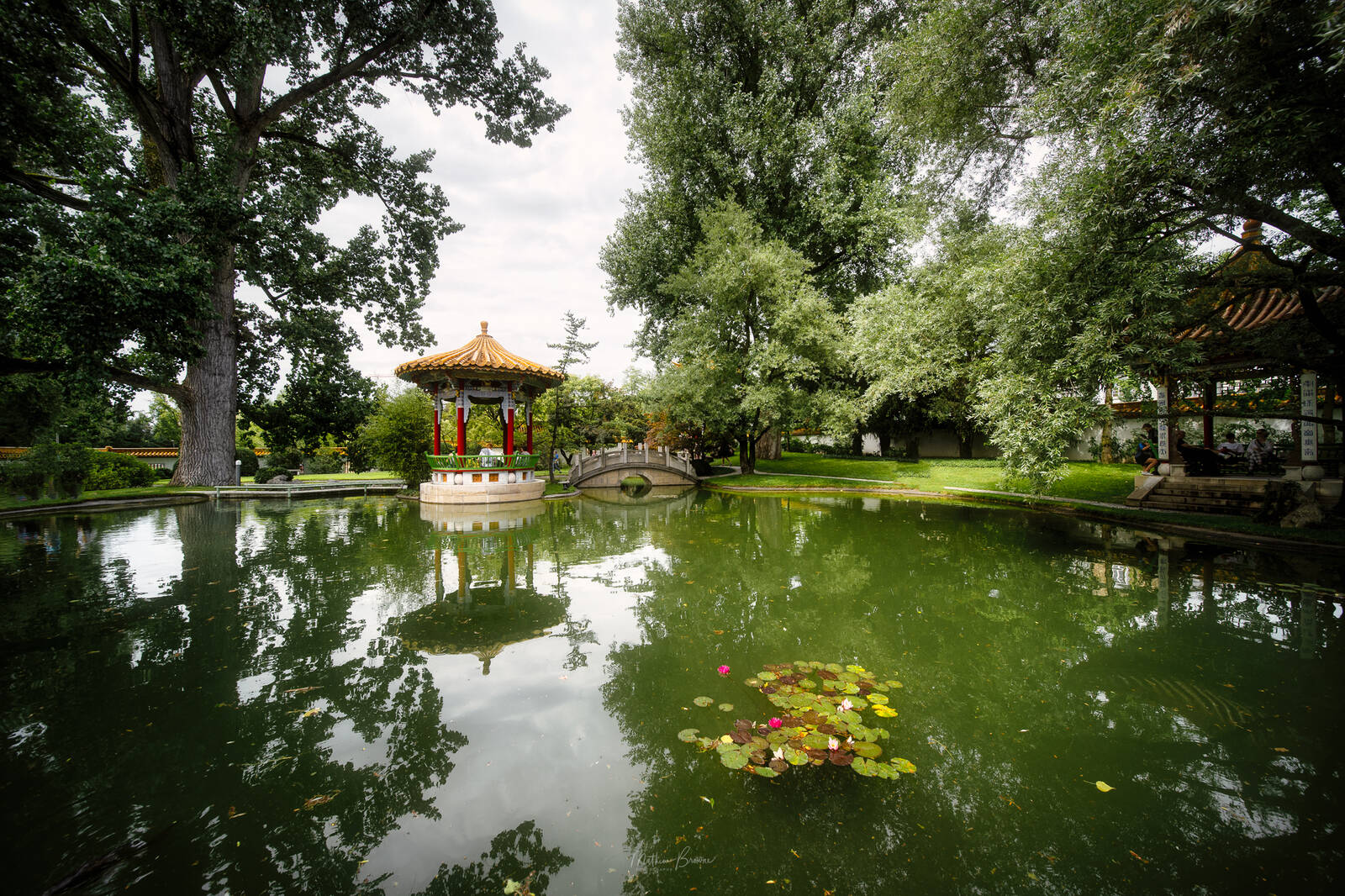 Image of Zurich Chinagarten by Mathew Browne