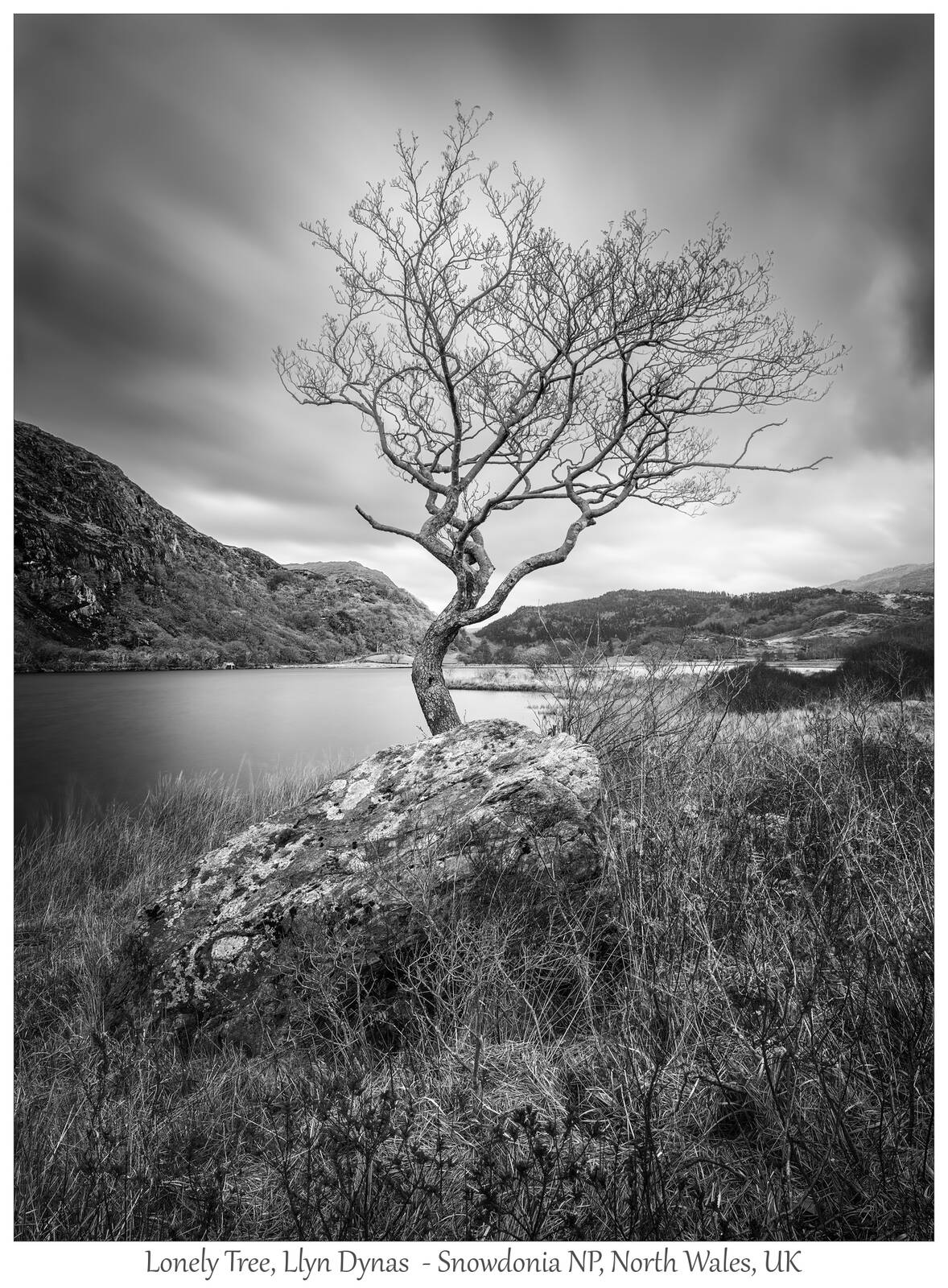 Image of Llyn Dinas, Snowdonia by Walter Roeck