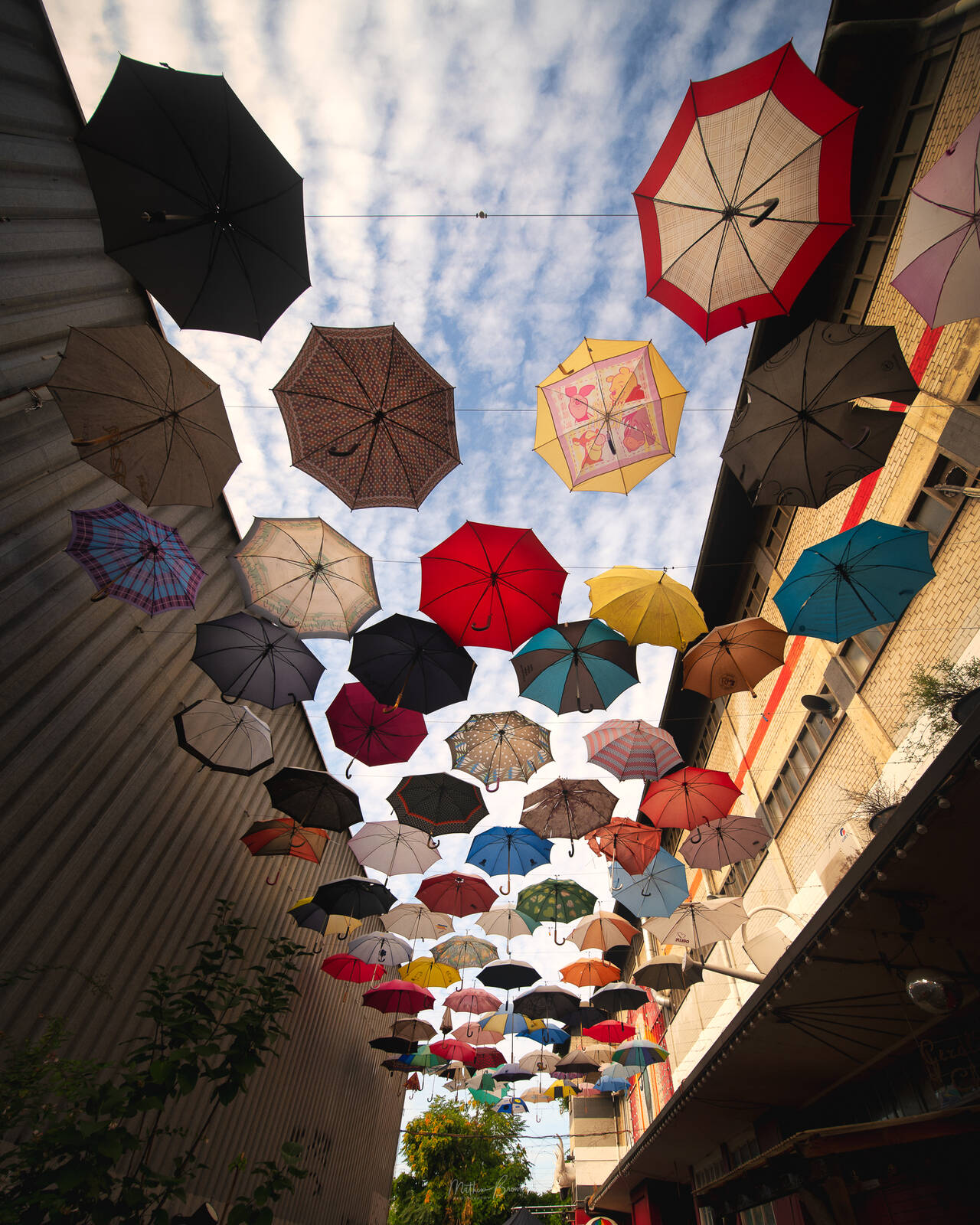 Image of Zurich Alley of Hanging Umbrellas by Mathew Browne