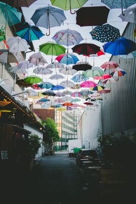 images of Switzerland - Zurich Alley of Hanging Umbrellas