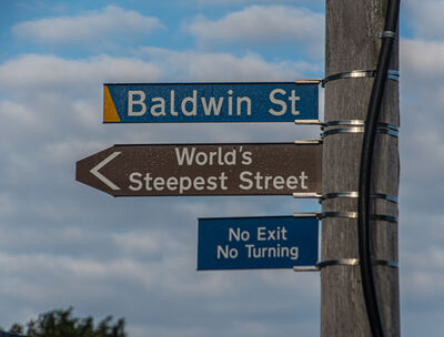 pictures of New Zealand - Baldwin Street - The World's Steepest Street