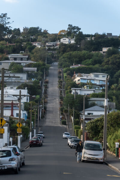 New Zealand images - Baldwin Street - The World's Steepest Street
