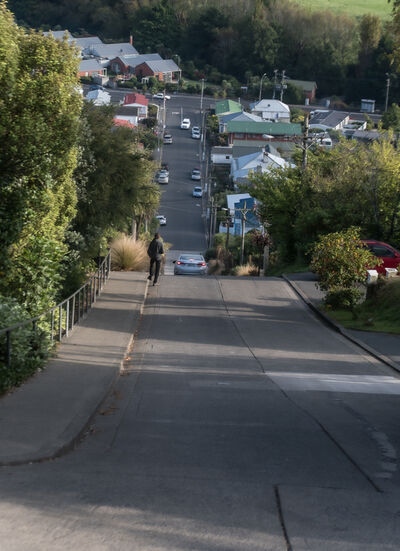 images of New Zealand - Baldwin Street - The World's Steepest Street