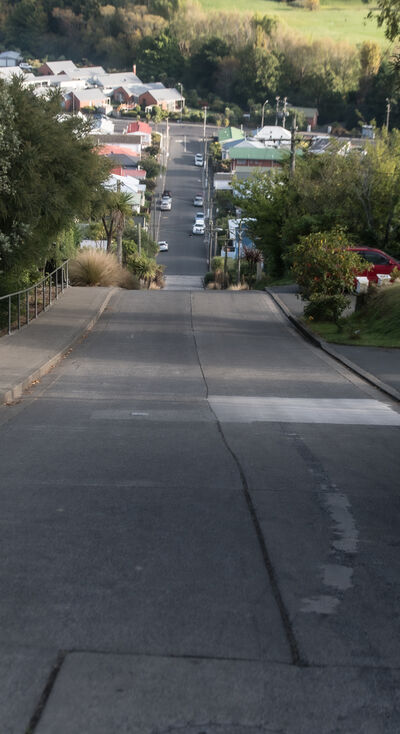 New Zealand images - Baldwin Street - The World's Steepest Street