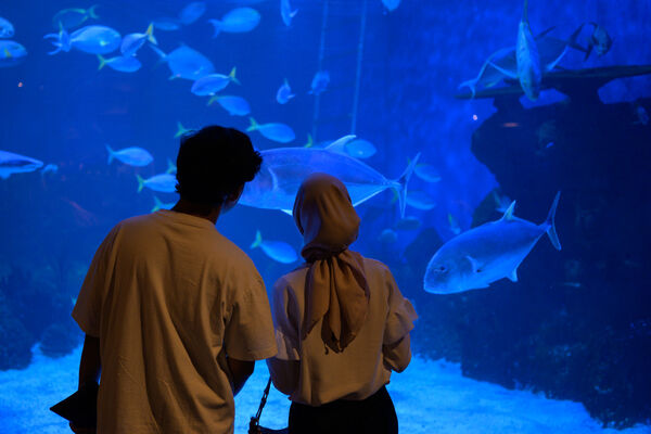 Jakarta Aquarium 