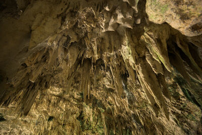 photos of Indonesia - Liang Bua Cave (Hobbit Cave)