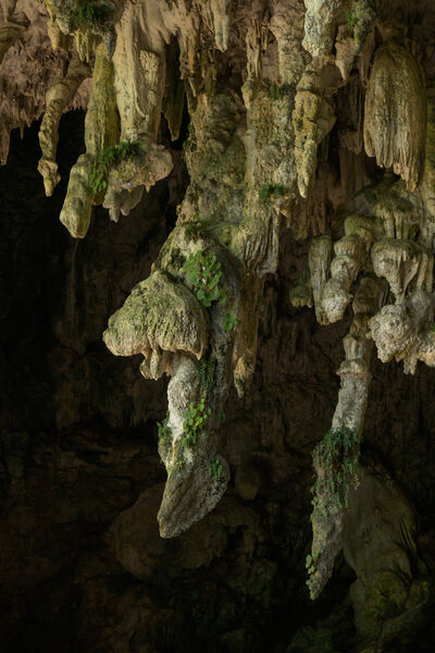 Image of Liang Bua Cave (Hobbit Cave) - Liang Bua Cave (Hobbit Cave)