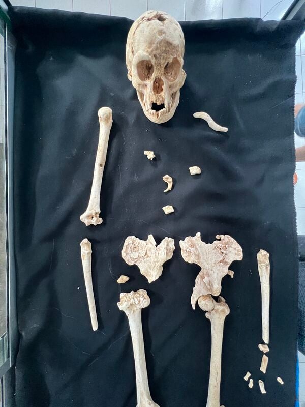 Liang Bua Cave (Hobbit Cave) - replica of the skeleton of the Homo Floresiensis