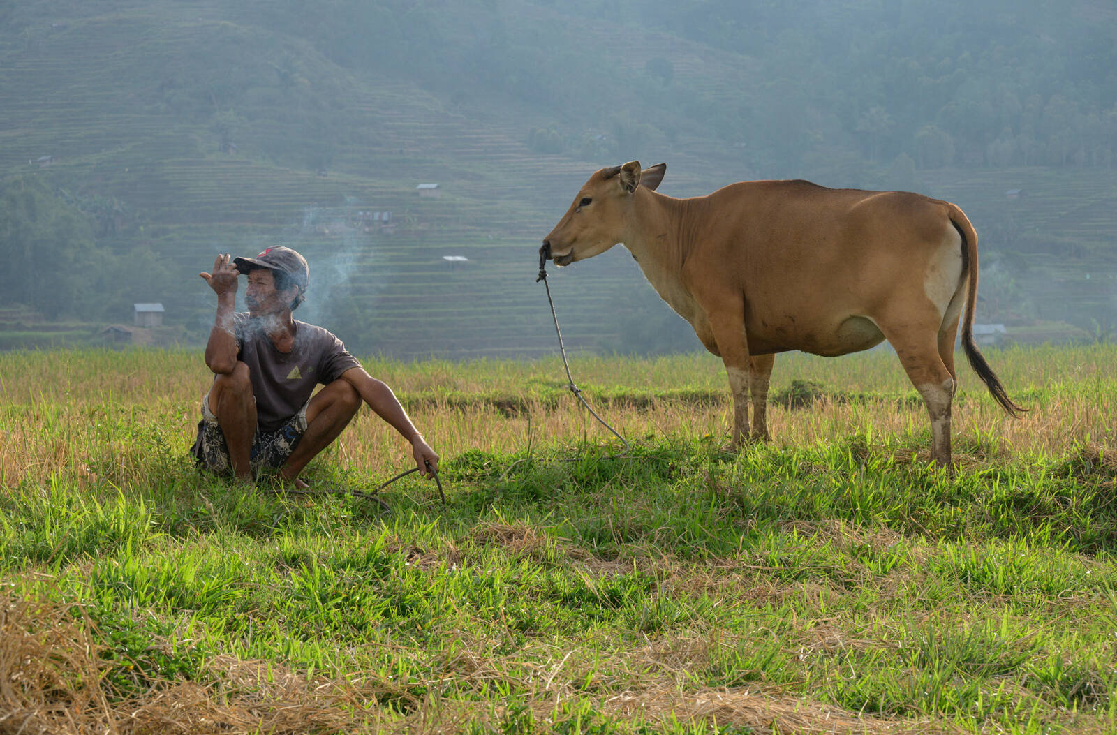 Image of Ruteng Rice Fields Walk by Luka Esenko