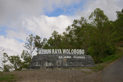 Indonesia pictures - Wolobobo Viewpoint