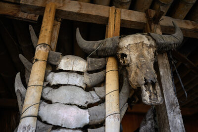 Bena Traditional Village - buffalo skulls