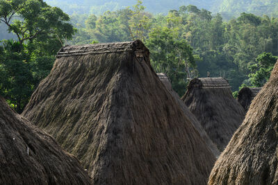 Bena Traditional Village - thatched roofs