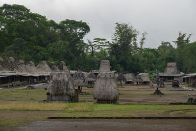 Kampung Wogo (Traditional Village)