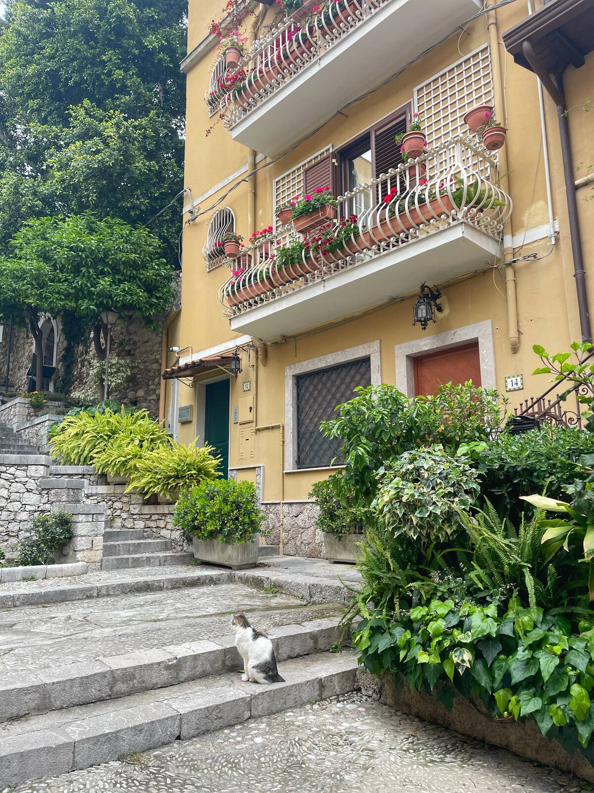 Image of Taormina by Jules Renahan