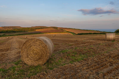 photography spots in Dorset - Puncknowle View.