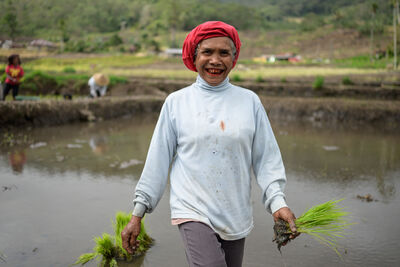 Indonesia photos - Detusoko Rice Terraces