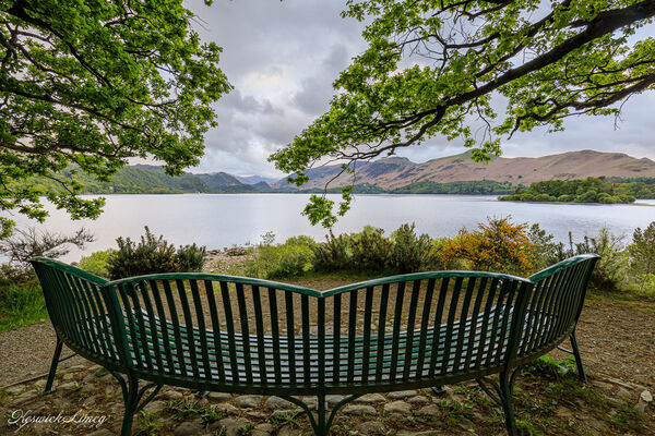 Looking down Derwent Water to Borrowdale from the Lion’s bench at Calfclose Bay.