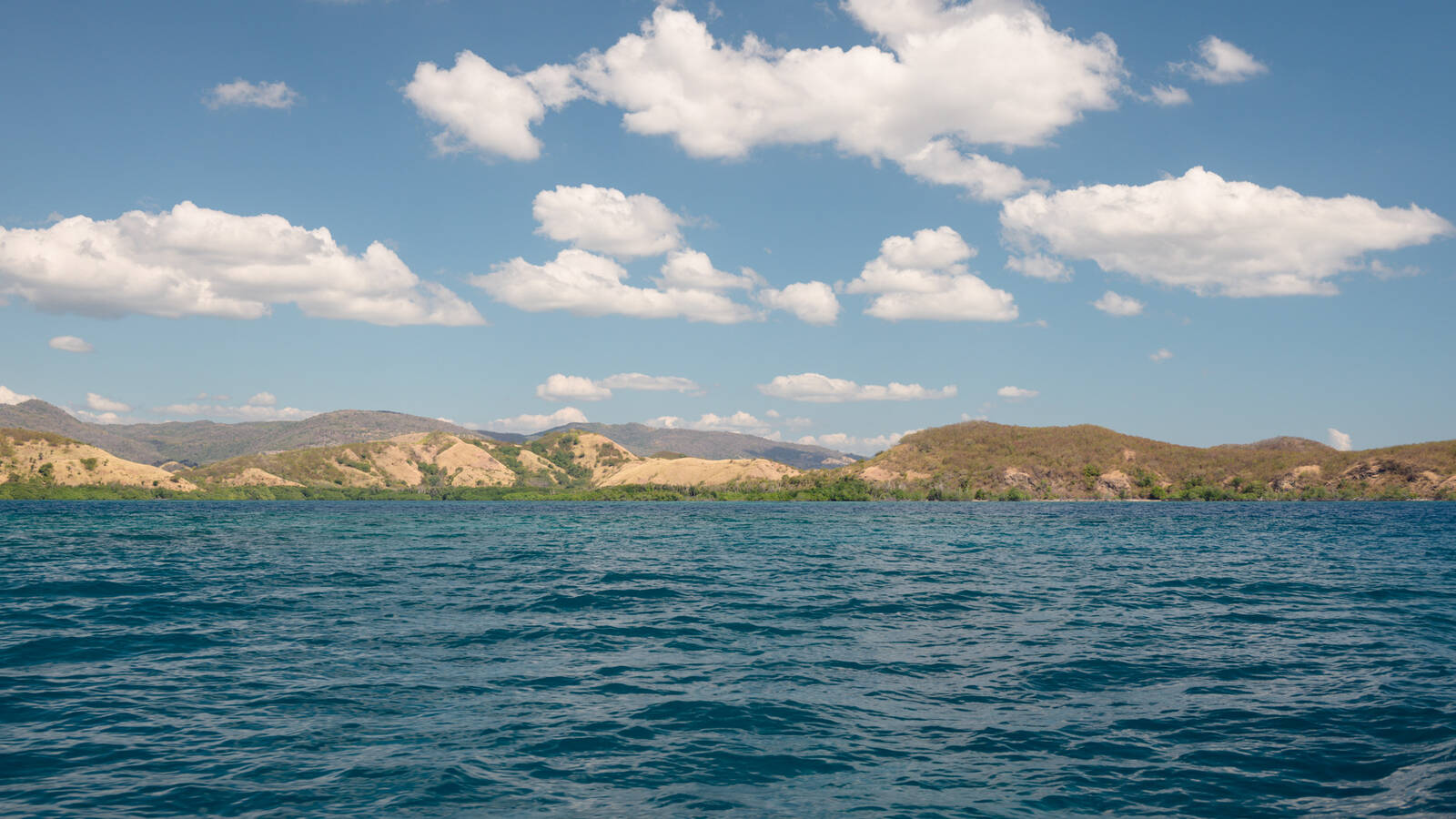 Image of 17 Islands National Park - Boat Trip by Luka Esenko