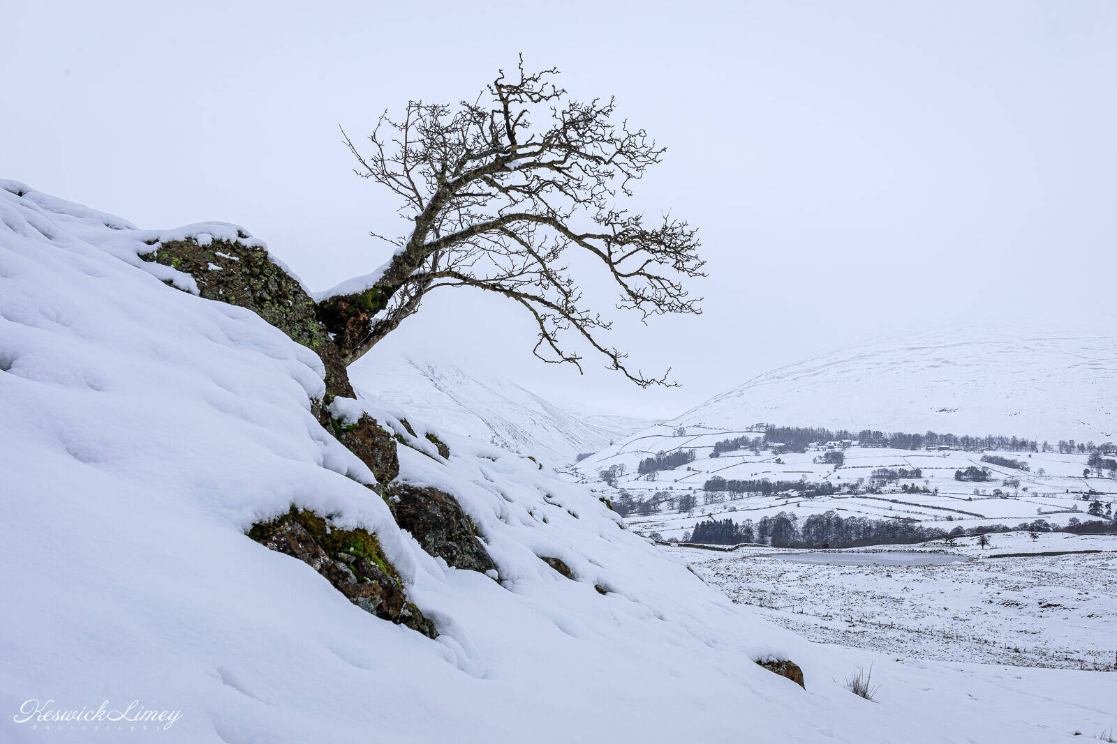 Image of Low Rigg by David Leighton