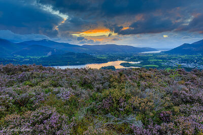 Looking across the heather to Derwent Water with the sunset behind.