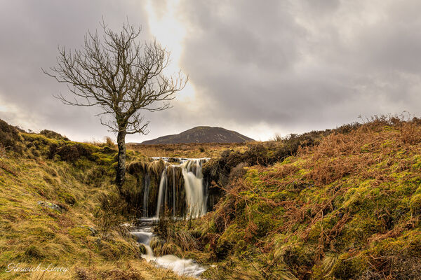 Waterfall and lone tree below Bleaberry Fell.