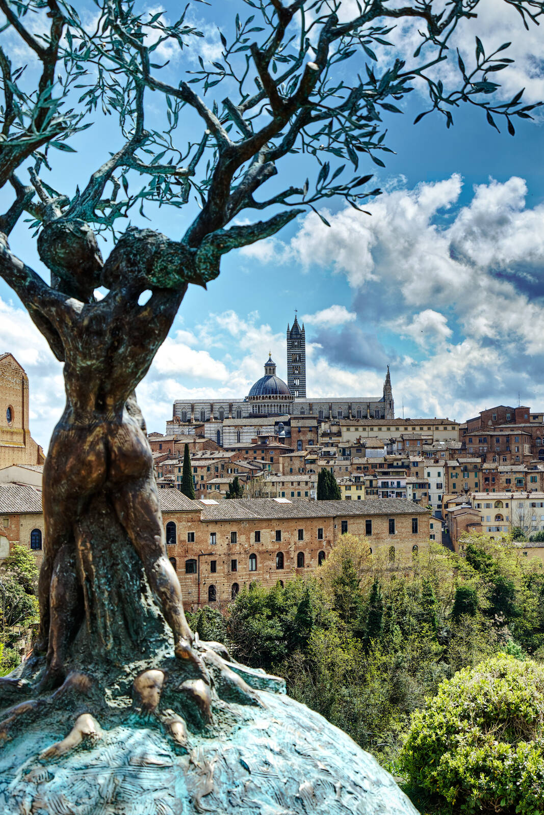 Image of Belvedere Siena by Damian Borzuchowski