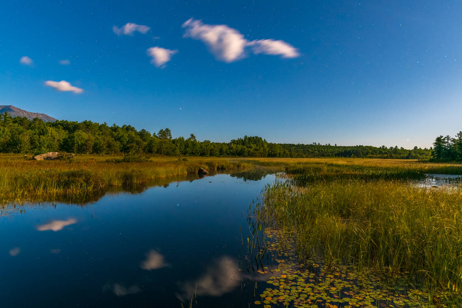 Image of Compass Pond Outlet Stream by Wayne Foote