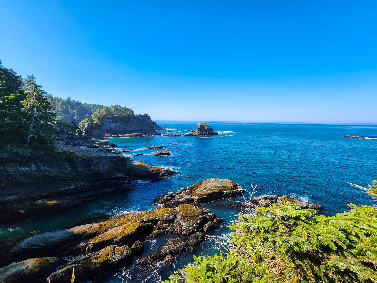 Image of Cape Flattery Viewpoint by Ray Humphreys