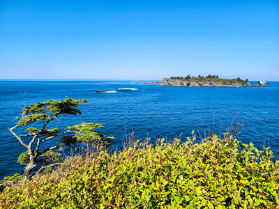 pictures of Olympic National Park - Cape Flattery Viewpoint
