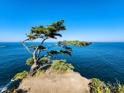 pictures of Olympic National Park - Cape Flattery Viewpoint