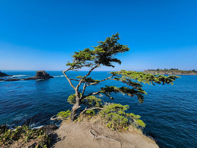 Image of Cape Flattery Viewpoint - Cape Flattery Viewpoint
