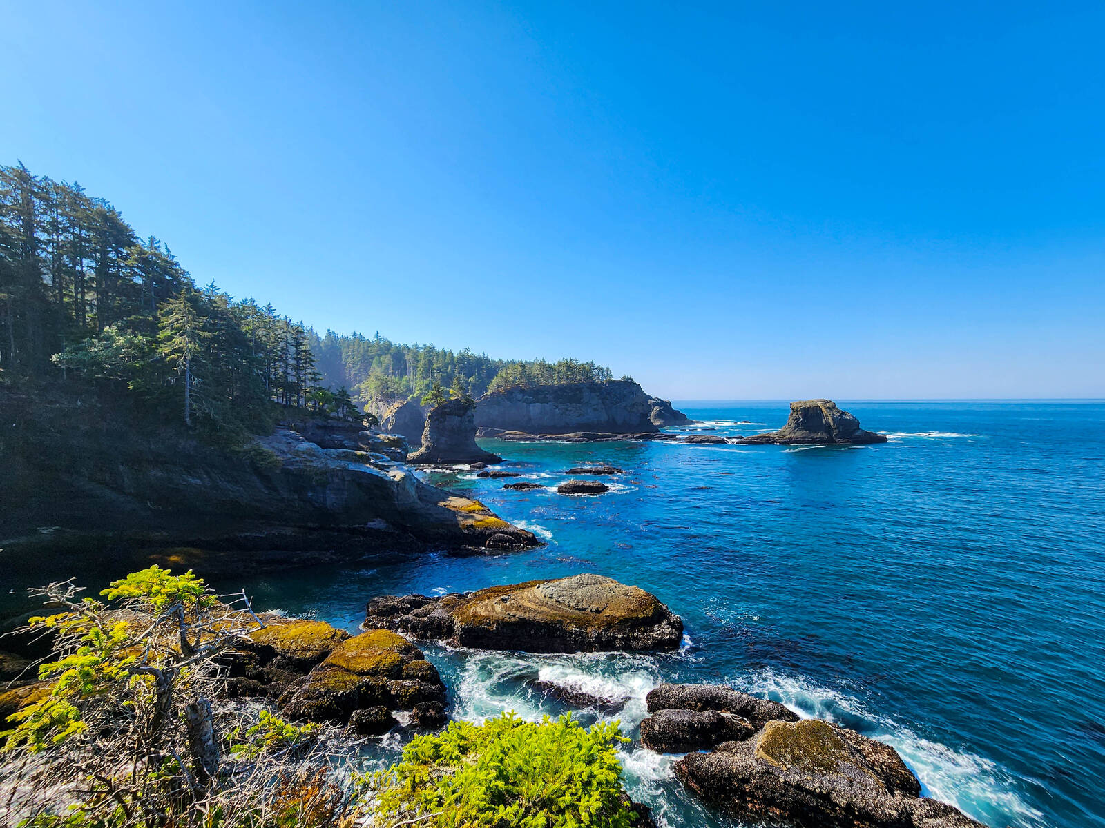 Image of Cape Flattery Viewpoint by Ray Humphreys