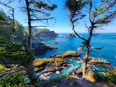Photo of Cape Flattery Viewpoint - Cape Flattery Viewpoint