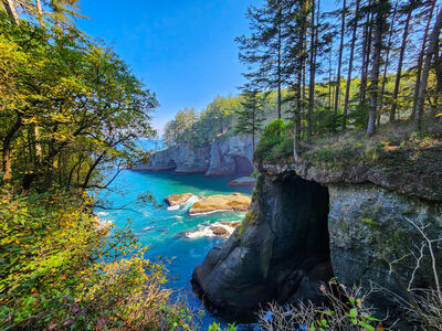 photos of Olympic National Park - Cape Flattery Viewpoint