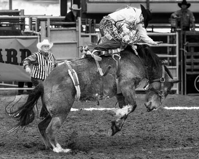 Picture of Arcadia All-Florida Championship Rodeo - Arcadia All-Florida Championship Rodeo