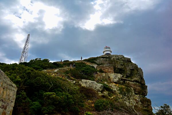 The Cape Point Lighthouse, located at the highest point (262 meters) of the Cape, is a must-visit destination for anyone traveling to South Africa. The lighthouse is not operational, but it is still a beautiful sight to behold. The new lighthouse, located at 34°21′26″S 18°29′49″E, is the most powerful on the South African coast, with a range of 63 kilometers and an intensity of light that can be seen from far away. You can ascend the short but steep walk to the old lighthouse, or take the Flying Dutchman Funicular to the viewing platform around the base of the lighthouse. The Cape Point Lighthouse is a great spot for photography, with its stunning scenery and breathtaking views. Whether you're a professional photographer or just looking to capture some memories, the Cape Point Lighthouse is a must-visit destination.