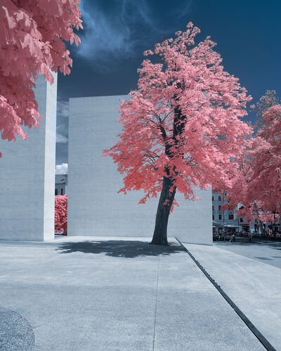Monument to the Victims of All Wars - infrared image