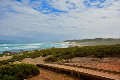 South Africa images - Cape of Good Hope - Maclear's Beach