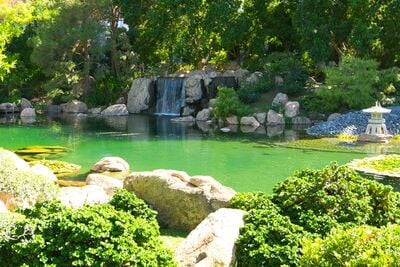 Picture of Japanese Friendship Garden of Phoenix - Japanese Friendship Garden of Phoenix